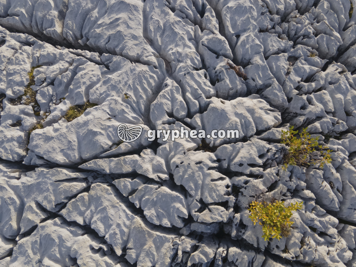 Lapiaz - détail - Parmelan (vue aérienne) - gryphea.com